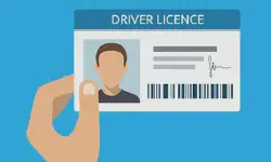Featured image of post LICENSE